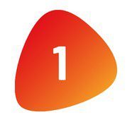 Step 1 of the Swiss Triple Impact Programme