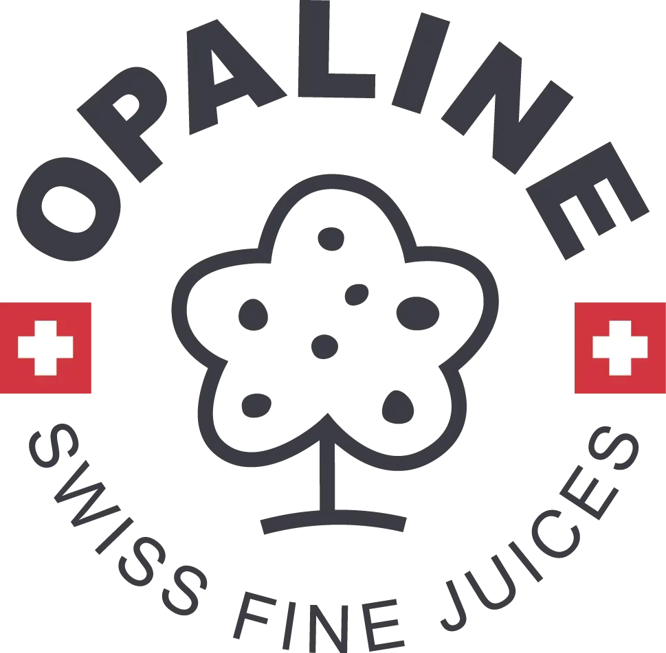 LOGO_Opaline_GREY.webp