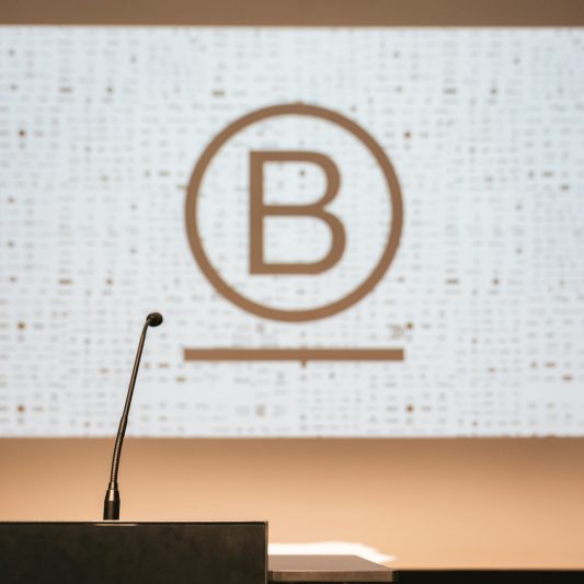 B + microphone